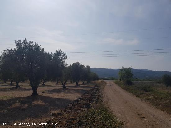 LA GALERA FINCA CON AGUA Y CASA 15m2 AMPLIABLES A 40 m2 - TARRAGONA