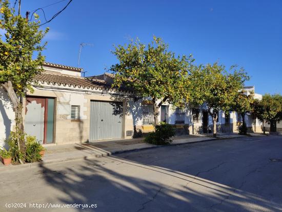 VIVIENDA INDEPENDIENTE EN SAN JOSE DEL VALLE - CADIZ