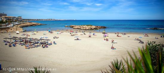 URBANIZACIÓN  BLUE  LAGOON  –  SAN  MIGUEL  DE SALINAS (ALICANTE) - ALICANTE