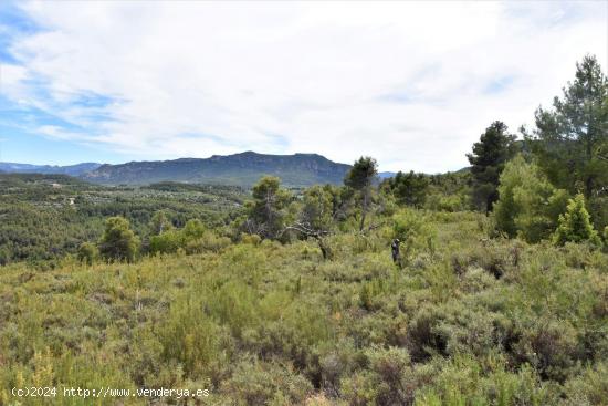  Se Vende en Valderrobres - TERUEL 