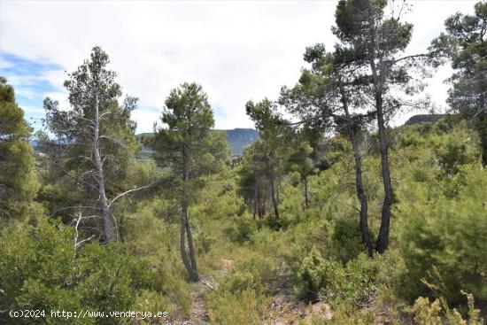 Se Vende en Valderrobres - TERUEL