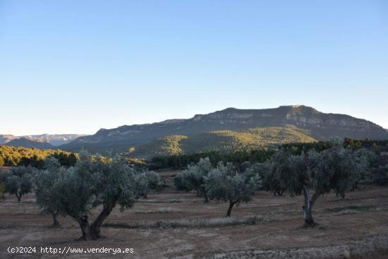 Se Vende en Valderrobres - TERUEL