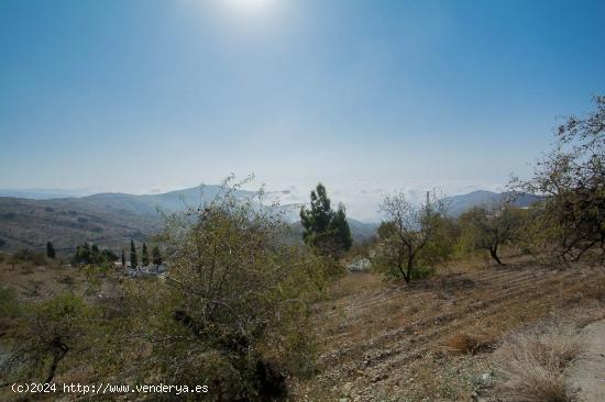 Finca rustica en Sorvilan - GRANADA