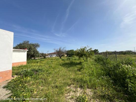 CASA RURAL CON 2.400M DE PARCELA - CADIZ