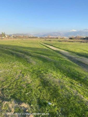  QUE GRAN TERRENO DE LABOR ESTAMOS EN PLENO CENTRO - GRANADA 