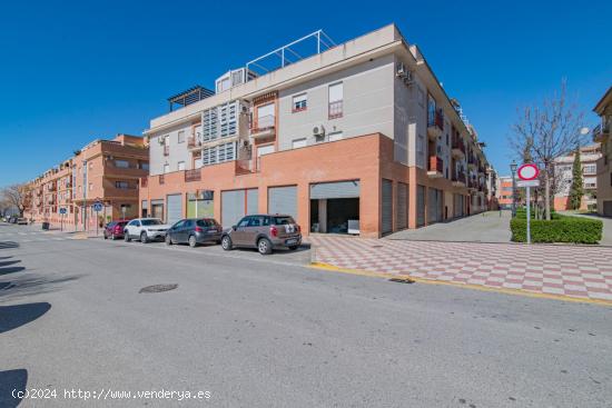  VENTA DE LOCAL COMERCIAL EN BRUTO EN AVENIDA DE MADRID EN ALBOLOTE - GRANADA 