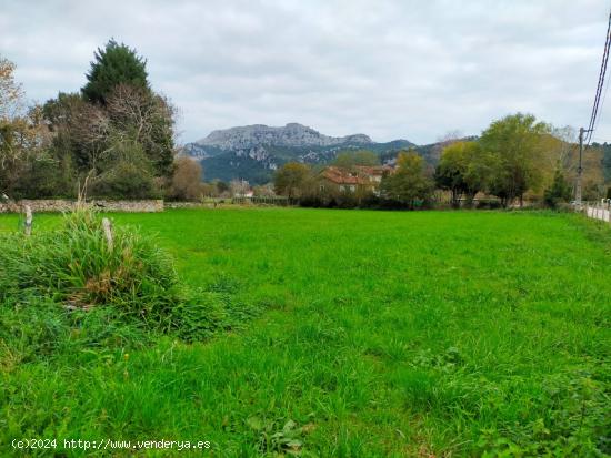 A LA VENTA ESTUPENDO TERRENO URBANO EN LIENDO - CANTABRIA