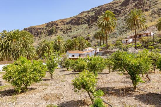 Casa Rural con Apartamento para Invitados en una Propiedad Paradisíaca en Fataga - LAS PALMAS