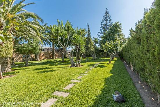 BONITA FINCA CON CÉDULA EN S'ARANJASSA - BALEARES