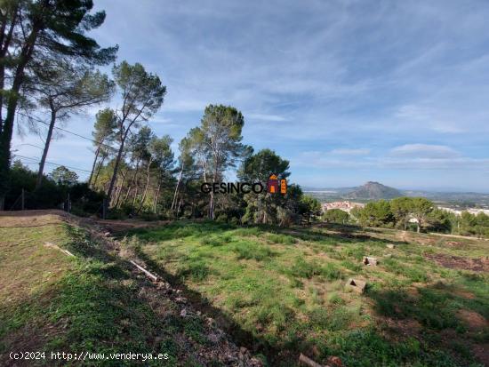 PARCELA MUY BIEN SITUADA EN PLENA NATURALEZA - VALENCIA