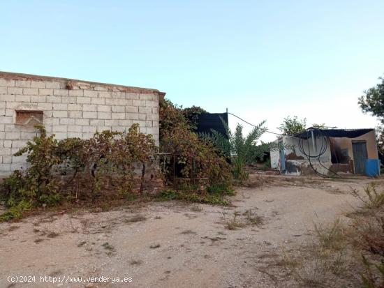 Terreno con caseta de riego y habitación-cocina para ocio - ALMERIA