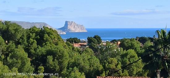 ALQUILER DE BUNGALOW, 3 DORMITORIOS , CON BARBACOA. - ALICANTE