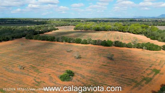 Finca rústica de más de 100.000 metros cuadrados - BALEARES