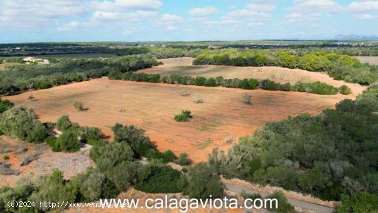 Finca rústica de más de 100.000 metros cuadrados - BALEARES