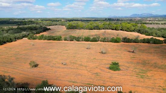 Finca rústica de más de 100.000 metros cuadrados - BALEARES