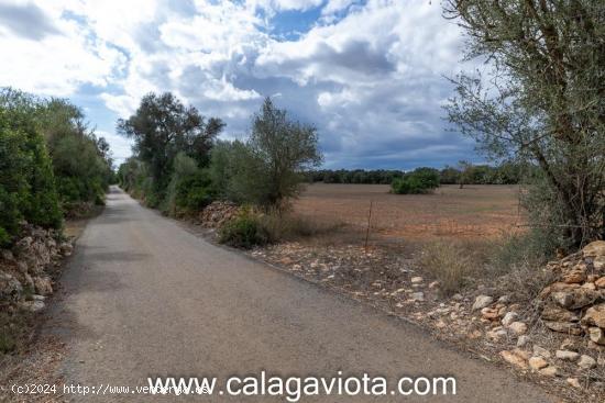 Finca rústica de más de 100.000 metros cuadrados - BALEARES