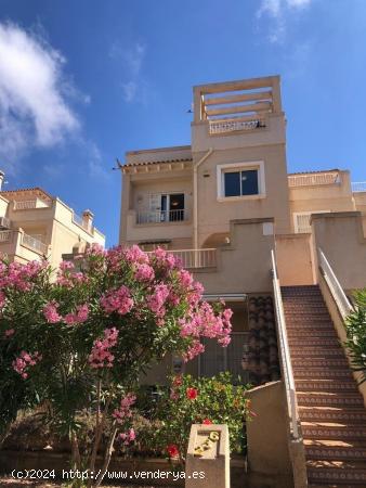 APARTAMENTO EN PLAYA FLAMENCA - ALICANTE