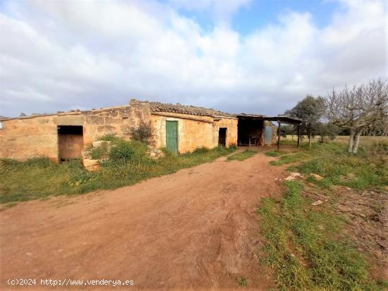 Finca rústica  con posibilidad de edificar en Llubi - BALEARES