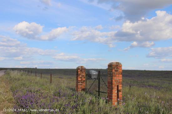  Parcela de 25.000 m2 en Sierra de Fuentes - CACERES 