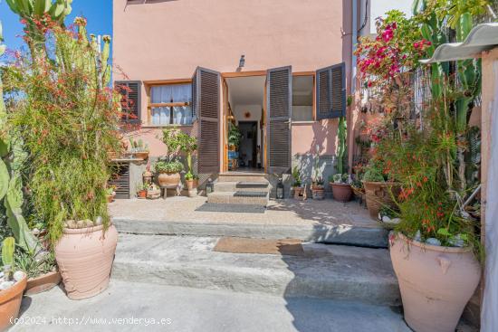 Encantador Chalet en Alaró con Vistas a la Tramuntana y Oportunidad de Renovación - BALEARES