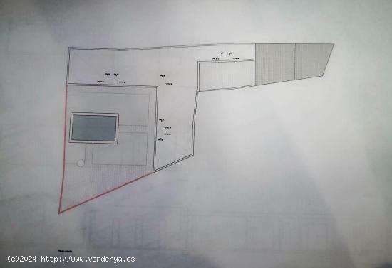 Solar edificable con proyecto básico de vivienda en Felanitx - BALEARES