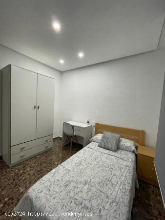 SE ALQUILAN HABITACIONES INDIVIDUALES  EN ELCHE (ALICANTE), CLAUDIA 633097354 - ALICANTE