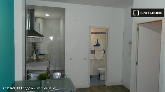 Apartamento entero de 1 habitaciones en Madrid - MADRID