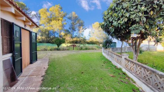 ESPECTACULAR FINCA RÚSTICA LEGAL EN PALMA DELIMITANDO CON ALGAIDA - BALEARES