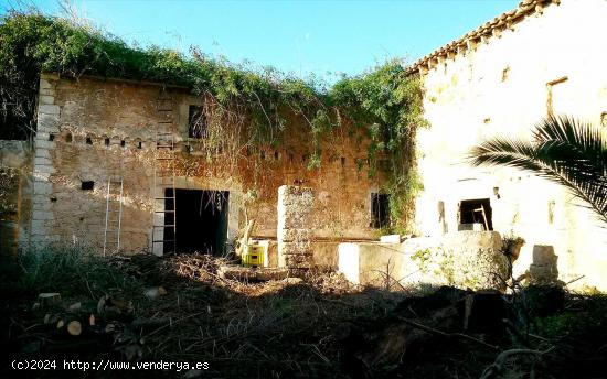 SOLAR EDIFICABLE EN BINISSALEM - BALEARES