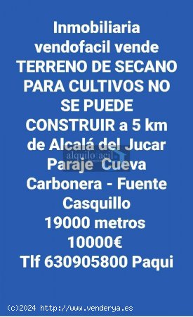 SelE VENDE TERRENO DE CULTIVO A 5 KM DE ALCALA DEL JUCAR/ 19000 METROS/ 10000€