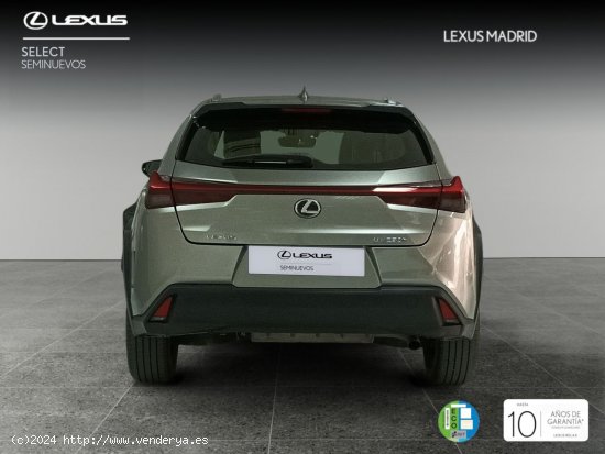 Lexus UX 2.0 250h Premium - Madrid