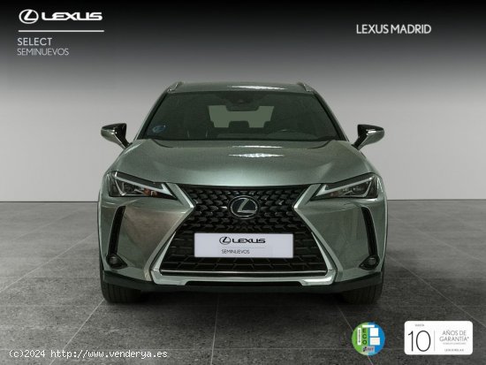 Lexus UX 2.0 250h Premium - Madrid