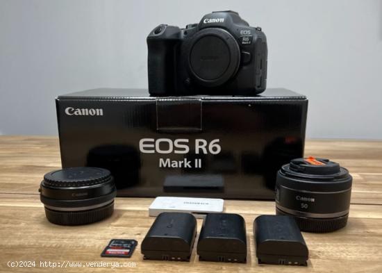 Canon EOS R3, Canon R6 Mark II, Canon R5, Canon R6, Canon EOS R7 , Nikon Z9, Nikon Z8, Nikon Z 7II