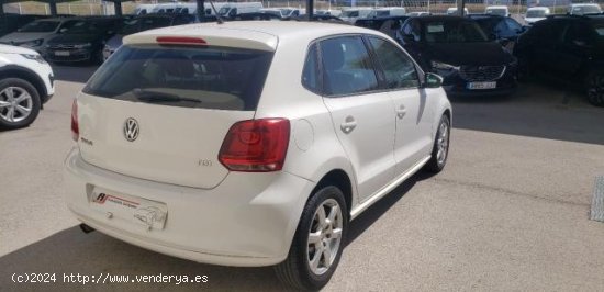 VOLKSWAGEN Polo en venta en Santpedor (Barcelona) - Santpedor