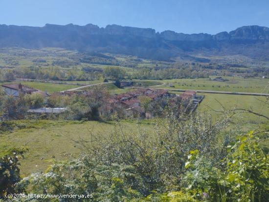 PARCELA URBANA EN VILLANUEVA DE MENA - BURGOS