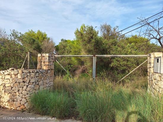 SOLAR EN DENIA - ALICANTE