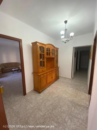 ALQUILER 4 HABITACIONES PARA  ESTUDIANTES 280 EUROS  POR HABITACION - ALMERIA