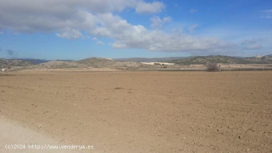 Finca rústica de 80000 m2 segregable. Posibilidad de construir vivienda - ALICANTE