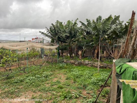 VENDEMOS VIVIENDA EMBLEMÁTICA CERCA DEL CASCO - LAS PALMAS