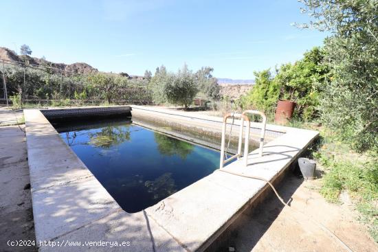  CASA CON PARCELA Y PISCINA EN RIOJA - ALMERIA 