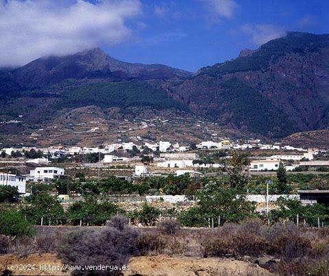 TINERCASA VENDE FINCA EN ARAFO - SANTA CRUZ DE TENERIFE