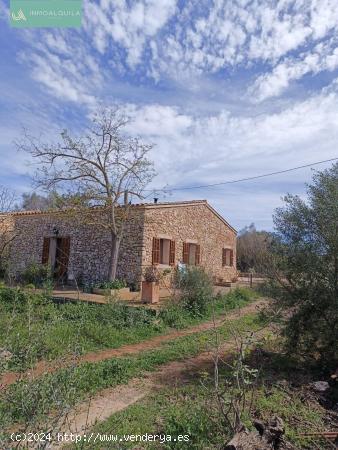 Casa de campo - BALEARES