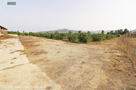 FINCA RÚSTICA EN CAMPANILLAS - MALAGA