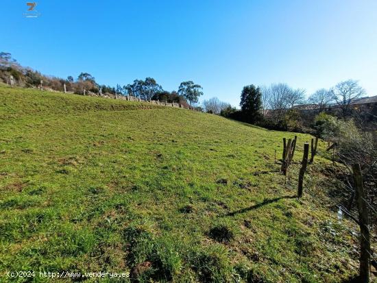  FINCA RUSTICA-AGRARIA EN FRESNEDO - CANTABRIA 