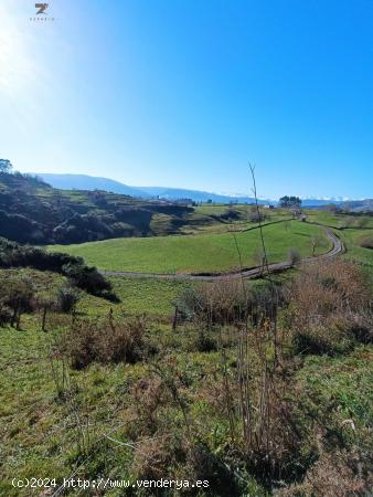 FINCA RUSTICA-AGRARIA EN FRESNEDO - CANTABRIA