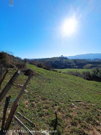 FINCA RUSTICA-AGRARIA EN FRESNEDO - CANTABRIA