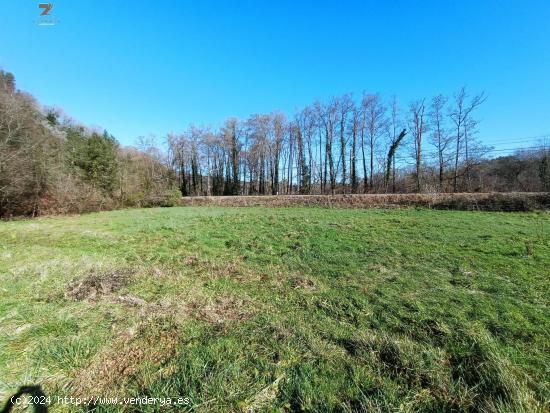  FINCA RUSTICA-AGRARIA ZONA LLOREDO - CANTABRIA 