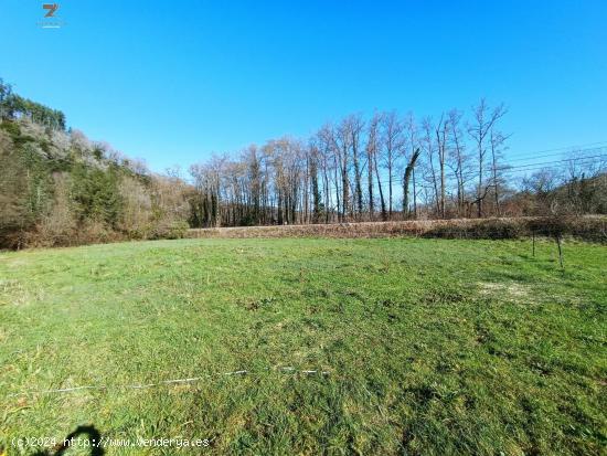 FINCA RUSTICA-AGRARIA ZONA LLOREDO - CANTABRIA