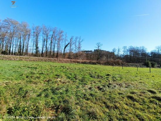 FINCA RUSTICA-AGRARIA ZONA LLOREDO - CANTABRIA