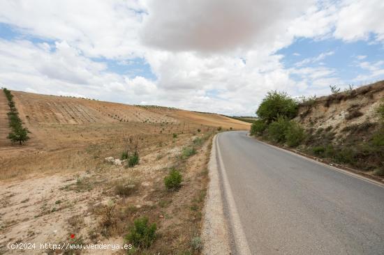 TERRENO EN CHIMENEAS CON ALTA RENTABILIDAD. - GRANADA